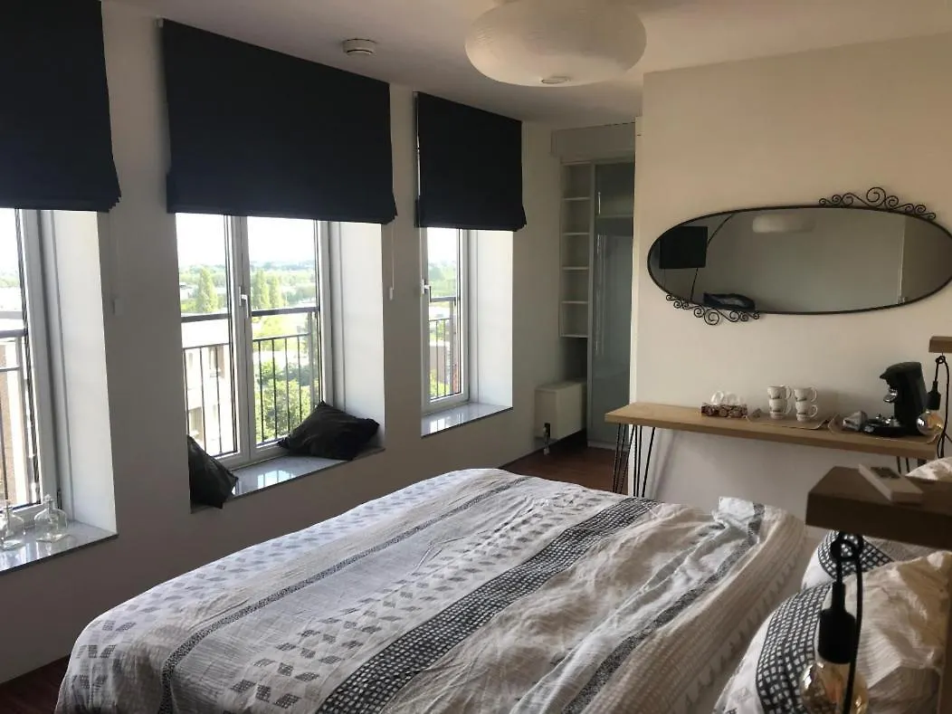 B&B de boomhut Rotterdam